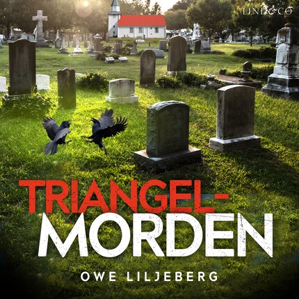 Triangelmorden bookCoverFor