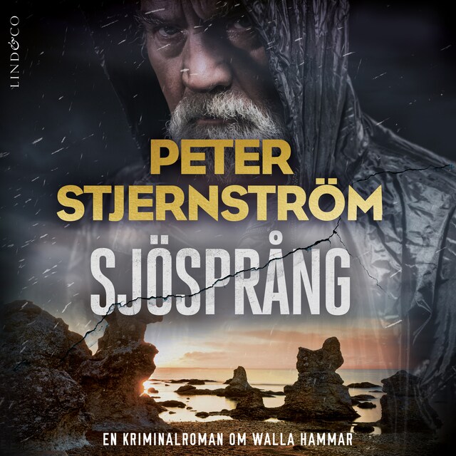 Book cover for Sjösprång