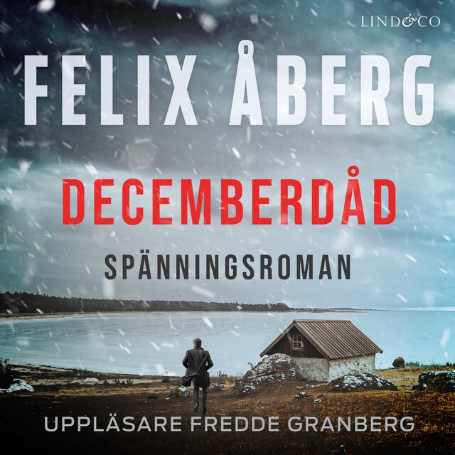 Book cover for Decemberdåd