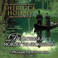 Det mystiska mordet vid skogssjön (Sherlock Holmes samlade bedrifter)