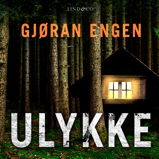 Portada de libro para Ulykke