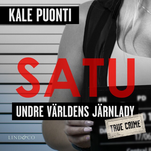 Book cover for Satu: Undre världens järnlady