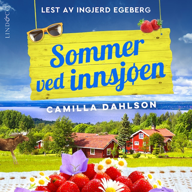Book cover for Sommer ved innsjøen