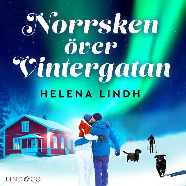 Boekomslag van Norrsken över Vintergatan