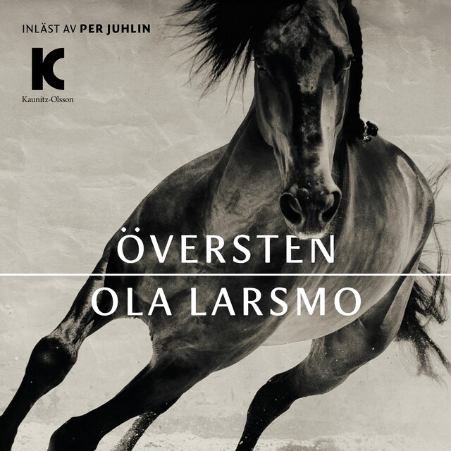 Book cover for Översten