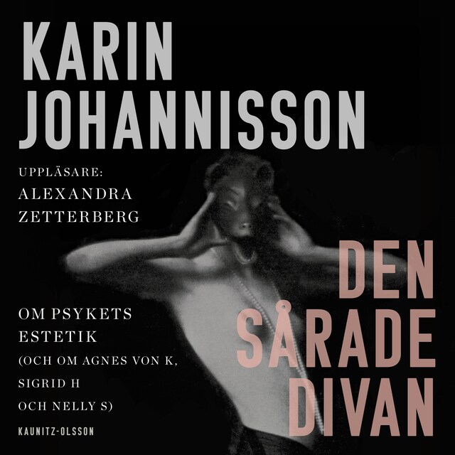 Book cover for Den sårade divan