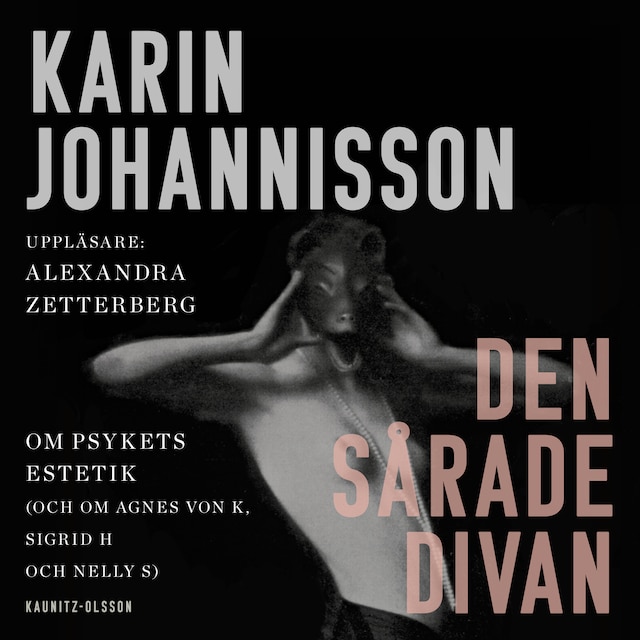 Buchcover für Den sårade divan