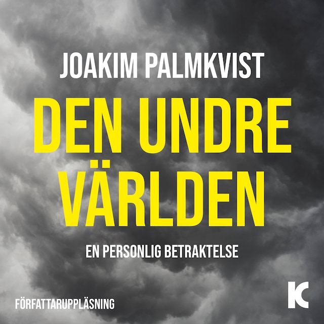 Book cover for Den undre världen