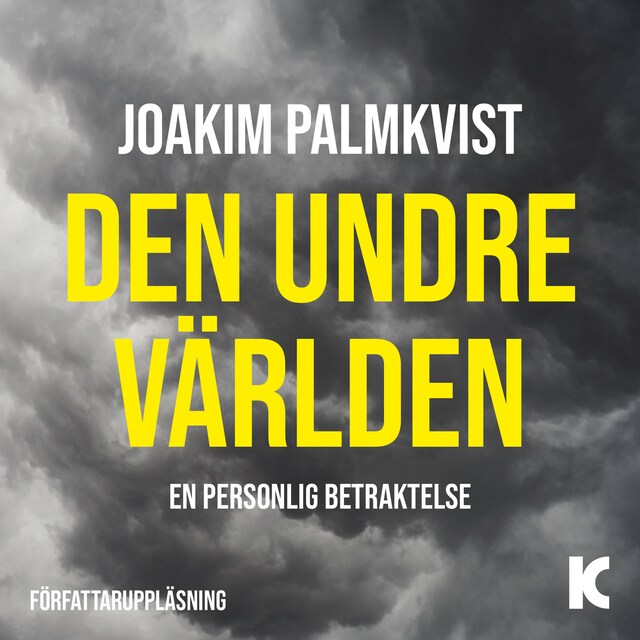 Book cover for Den undre världen