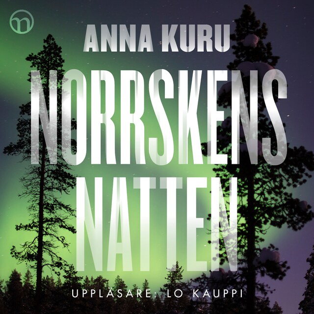 Book cover for Norrskensnatten