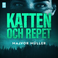 Katten och repet