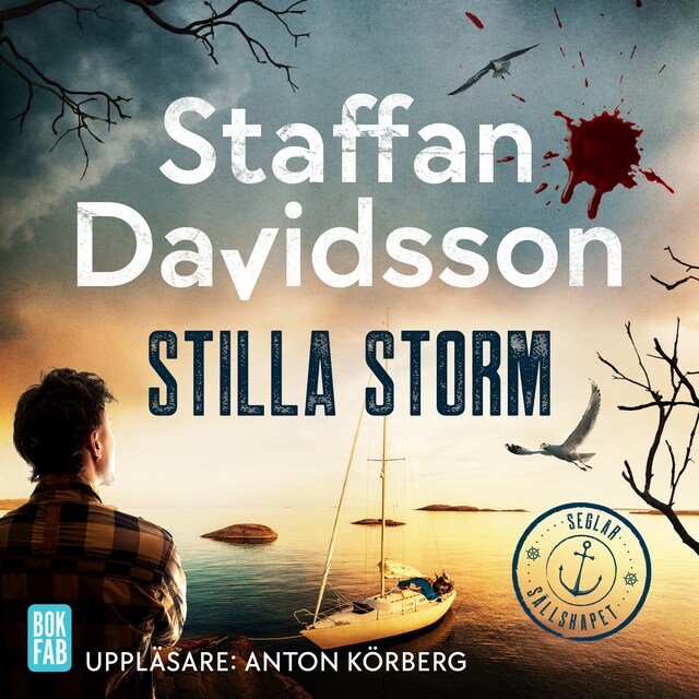 Book cover for Stilla storm