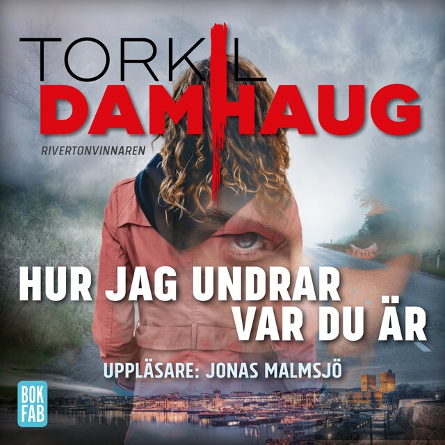 Portada de libro para Hur jag undrar var du är