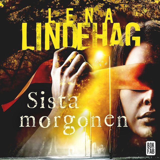 Book cover for Sista morgonen