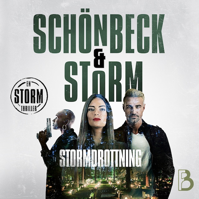 Book cover for Stormdrottning