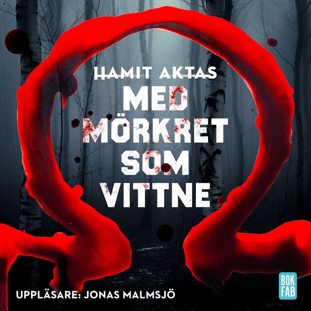 Book cover for Med mörkret som vittne