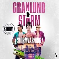 Stormvarning