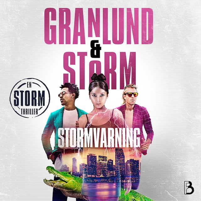 Buchcover für Stormvarning