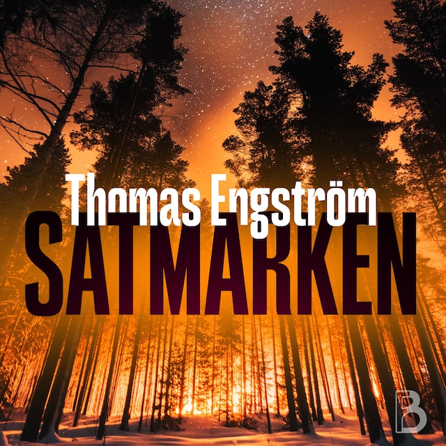 Book cover for Satmarken