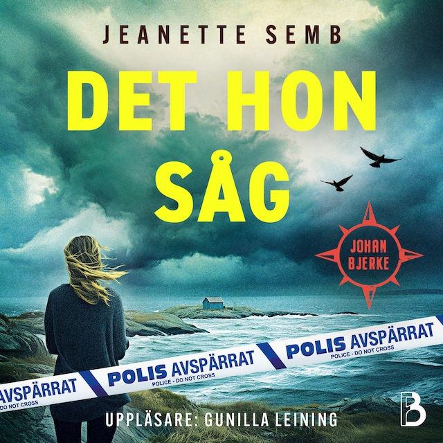 Buchcover für Det hon såg