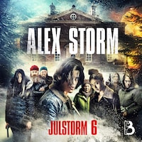 Julstorm: Lucka 6