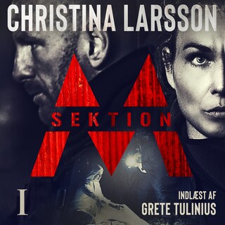 Sektion M I bookCoverFor