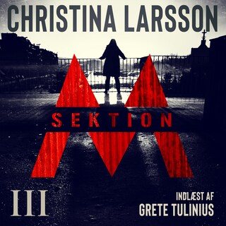 Sektion M III bookCoverFor