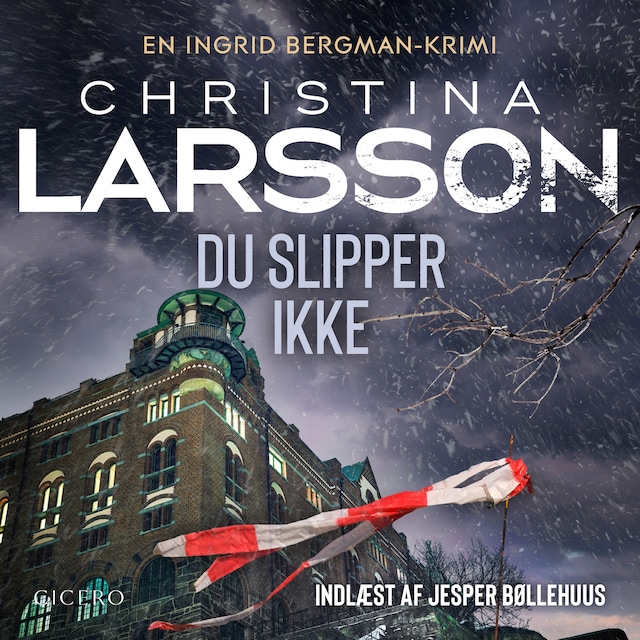 Book cover for Du slipper ikke - 3