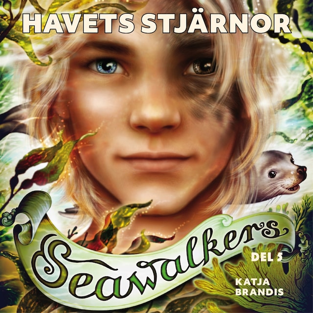 Book cover for Havets stjärnor