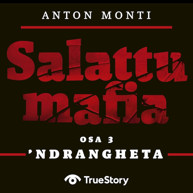 Book cover for SALATTU MAFIA: 'Ndrangheta