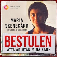 Bestulen - 8 år utan mina barn