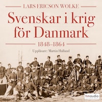 Svenskar i krig för Danmark 1848–1864