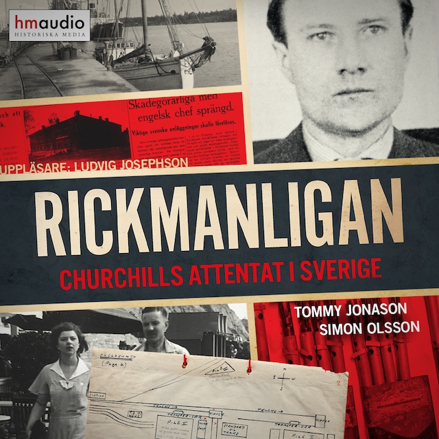 Book cover for Rickmanligan