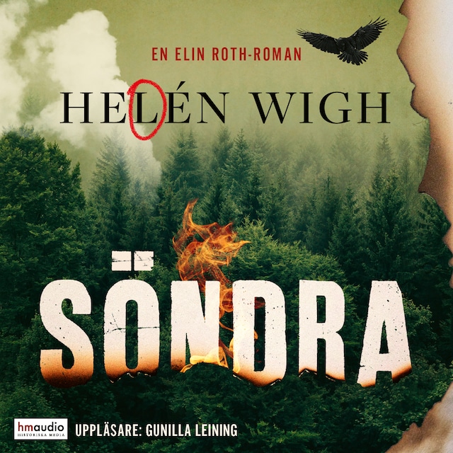 Book cover for Söndra