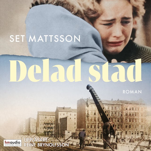 Book cover for Delad stad