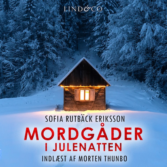 Couverture de livre pour Mordgåder i julenatten