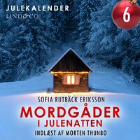 Mordgåder i julenatten - del 6