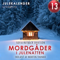 Mordgåder i julenatten - del 13