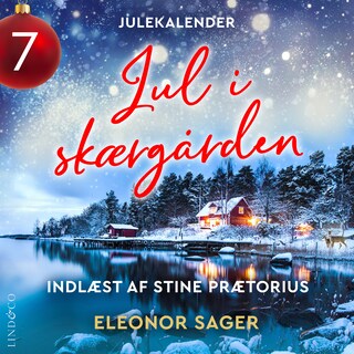 Jul i skærgården - luke 7 bookCoverFor