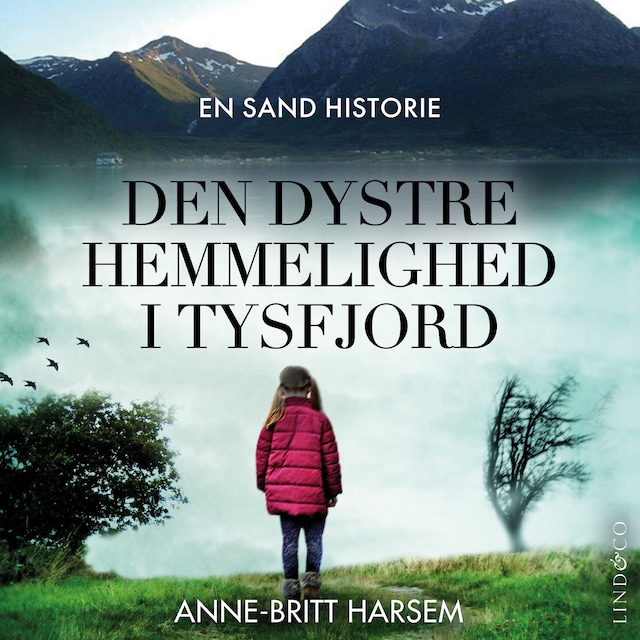 Boekomslag van Den dystre hemmelighed i Tysfjord