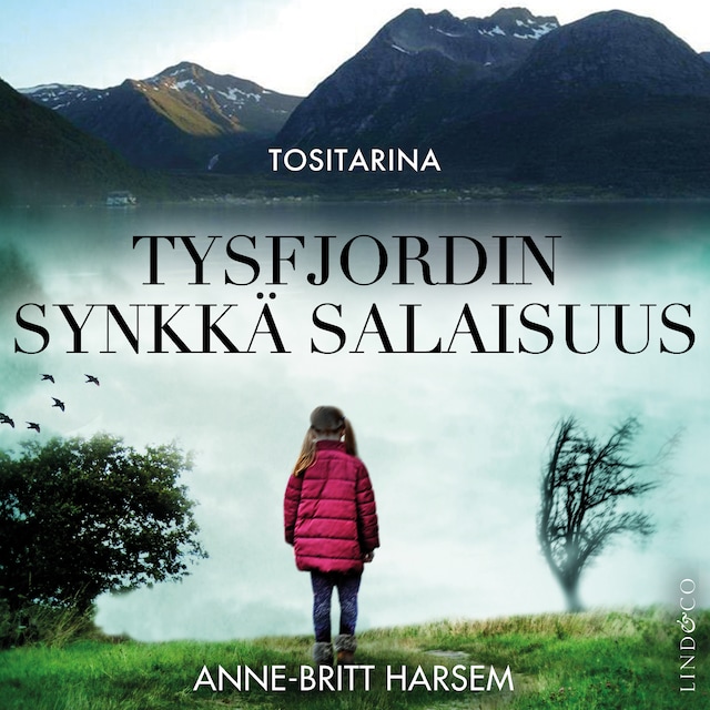 Buchcover für Tysfjordin synkkä salaisuus