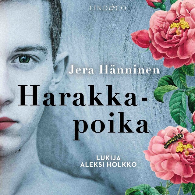 Book cover for Harakkapoika
