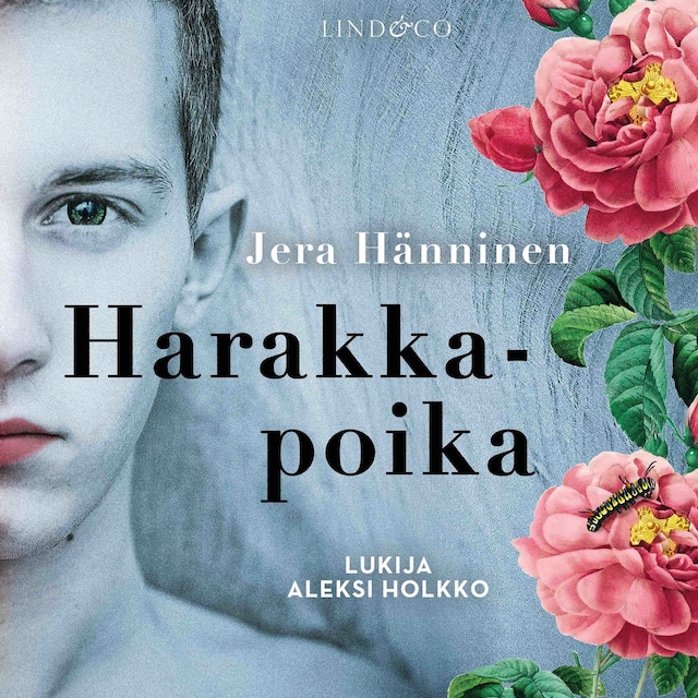 Book cover for Harakkapoika