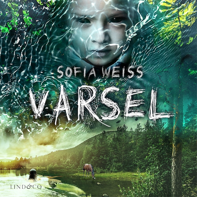 Book cover for Varsel