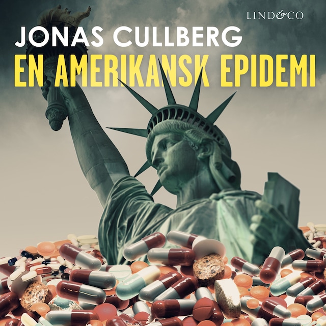 Book cover for En amerikansk epidemi