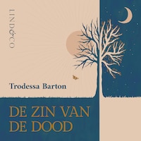 De zin van de dood - Een spiegel voor de onzin van het leven