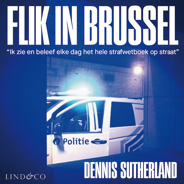 Okładka książki dla Flik in Brussel