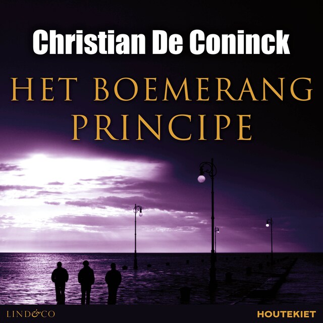 Book cover for Het boemerangprincipe