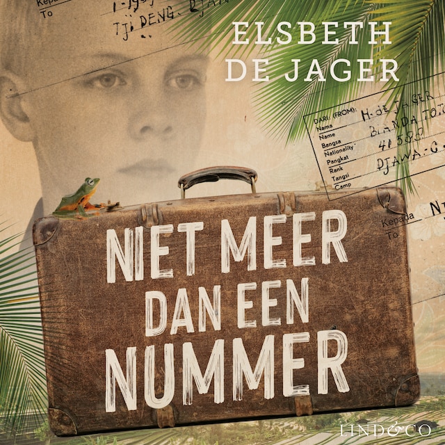 Book cover for Niet meer dan een nummer