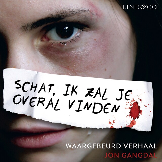 Book cover for Schat, ik zal je overal vinden